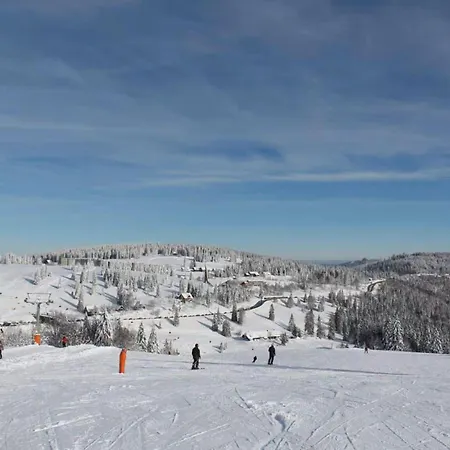 Forest In Apartment *