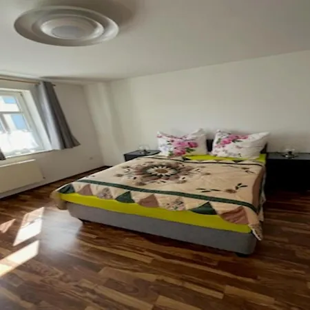 Forest In Appartement Elbingerode (Saxony-Anhalt)