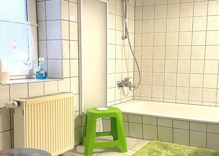 Forest In * Elbingerode (Saxony-Anhalt)