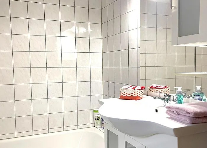 Forest In Elbingerode (Saxony-Anhalt)