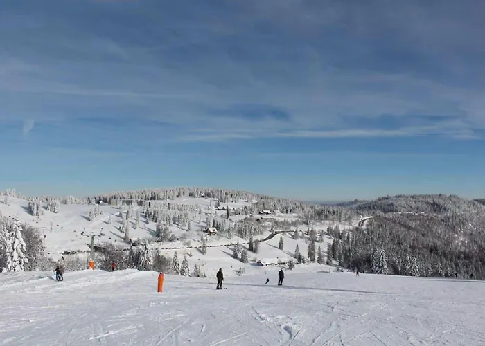 Forest In Lejlighed *