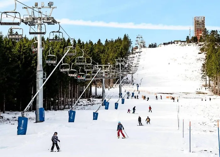 Forest In * Elbingerode (Saxony-Anhalt)