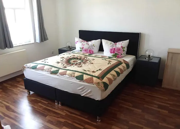 Forest In Elbingerode (Saxony-Anhalt)