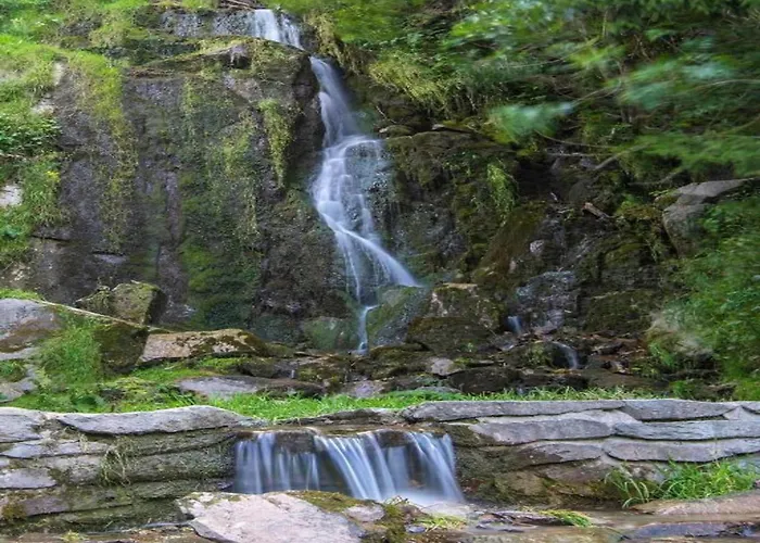 Lejlighed Forest In *