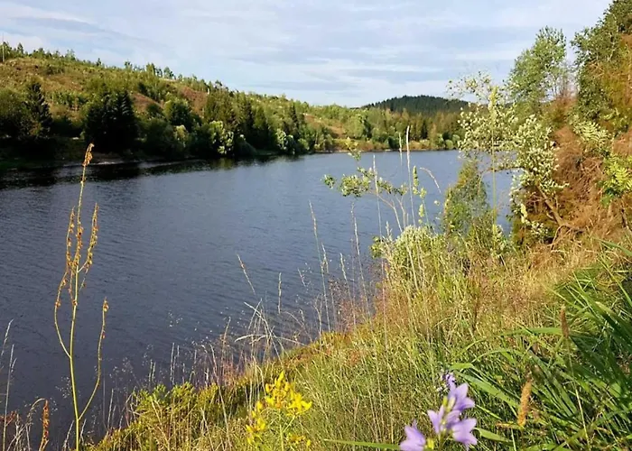 Forest In Appartement Elbingerode (Saxony-Anhalt)
